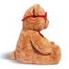 FAO Schwarz 12" Sparklers Bear with Removable Red Heart Glasses Toy Plush - image 3 of 4