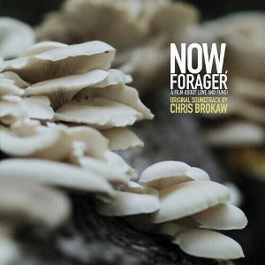 Chris Brokaw - Now Forager (Original Soundtrack) (Vinyl) - 1 of 1