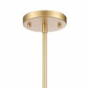 Elk Home Fantania 2 - Light Pendant in  Champagne Gold - 2 of 3