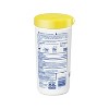 Wet Ones Antibacterial Hand Wipes Canister - Tropical Splash - 40ct - 2 of 4