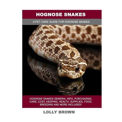 Hognose Snakes - by  Lolly Brown (Paperback)