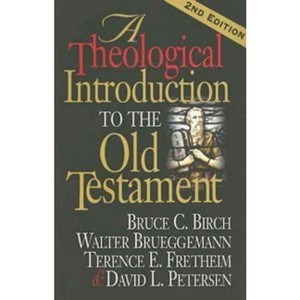 A Theological Introduction to the Old Testament - 2nd Edition by  Walter Brueggemann & Bruce C Birch & Terence E Fretheim & David L Petersen - 1 of 1