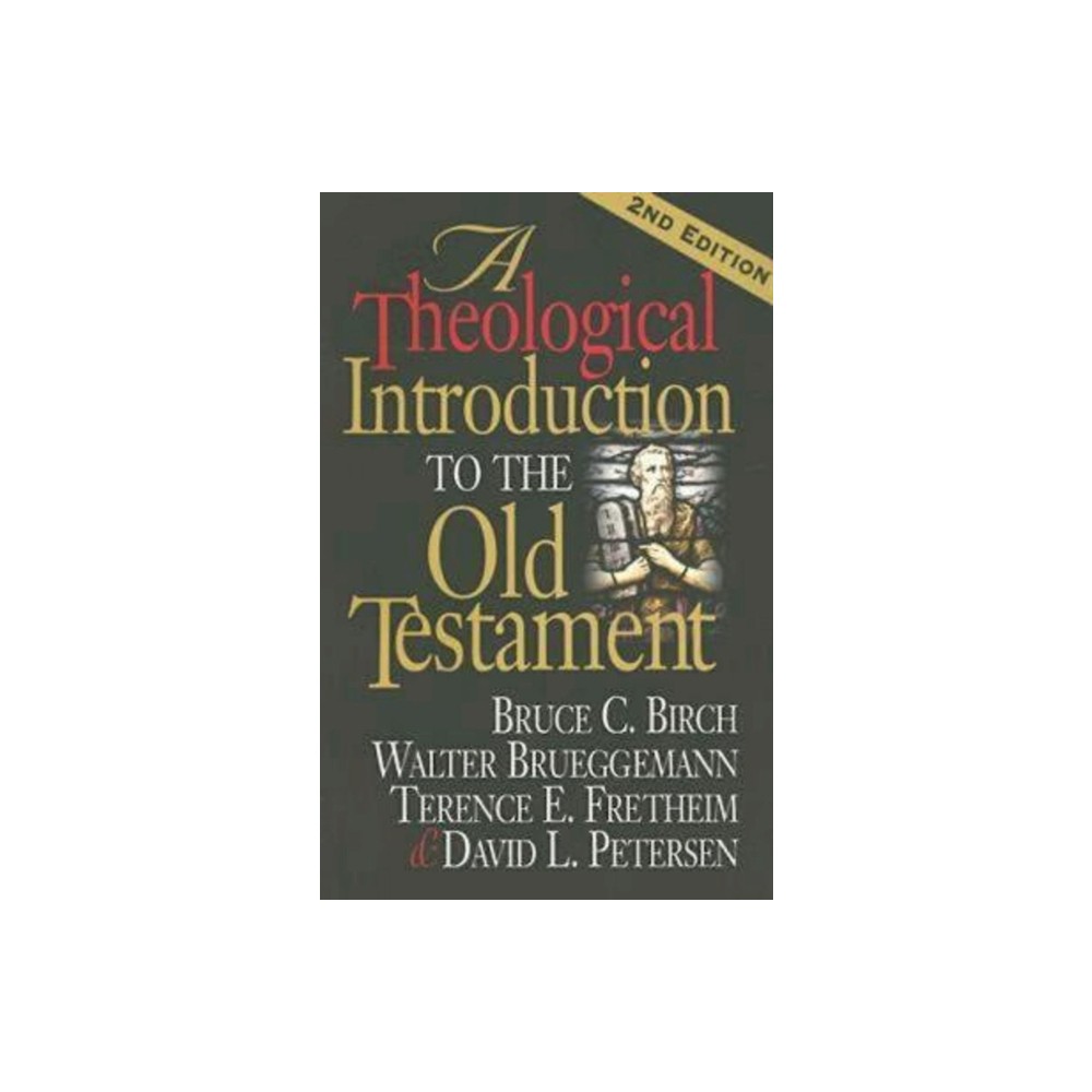 A Theological Introduction to the Old Testament - 2nd Edition by Bruce C Birch & Terence E Fretheim & David L Petersen (Paperback)