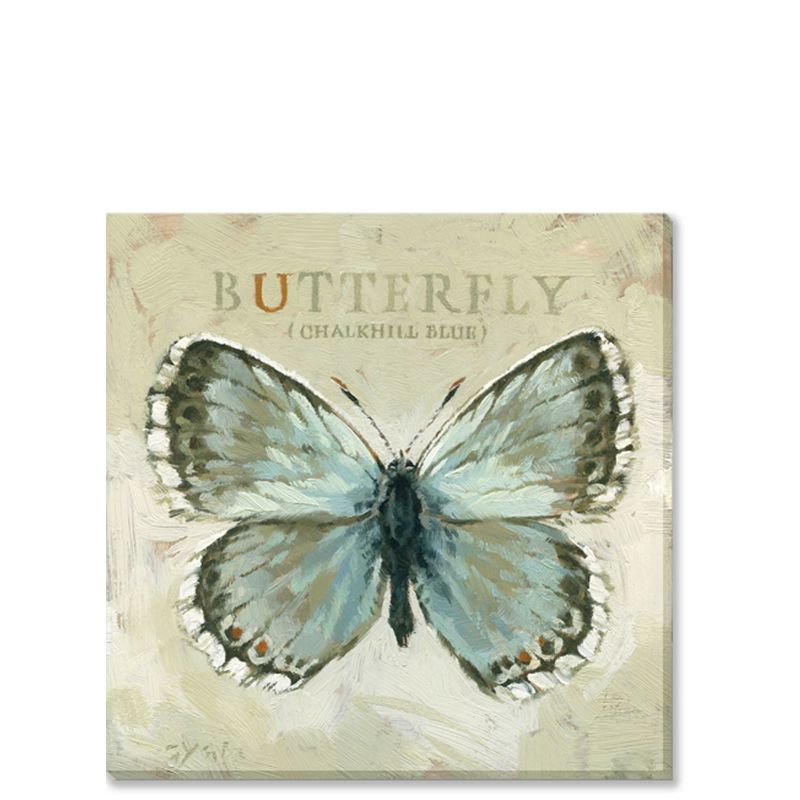 Sullivans Darren Gygi Chalkhill Blue Butterfly Canvas, Museum Quality Giclee Print, Gallery Wrapped, Handcrafted in USA, 1 of 7