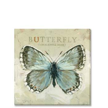 Sullivans Darren Gygi Chalkhill Blue Butterfly Canvas, Museum Quality Giclee Print, Gallery Wrapped, Handcrafted in USA