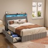 Queen Size Platform Bed Slat Support No Box Spring Needed Platform Bed Frame With LED Lighting 4 Under Of Bed Portable Storage Drawers - 3 of 4