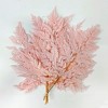 Alilang Decorative Dried Fern Leaves for Home Decoration and Floral Arrangements, 13.5 Inches - 2 of 3