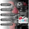 LIVS Gummies Shilajit Gummies - 4 of 4