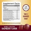 Mushroom Gummies for Adults, Nootropic Mushroom Supplement for Cognitive Function & Immune Health Support, SMNutrition, 60ct - 3 of 4