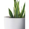 Rosemead Home & Garden, Inc. Concrete Outdoor Planter Pot White 18"x18" - 4 of 4
