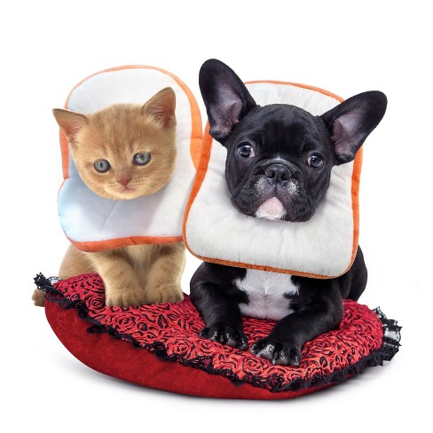 Small Breeds Dogs Puppies Adjustable Protective Pet E Collar for Wound Healing for Cats Cute Donut Neck Cone After Surgery URBEST Cat Recovery Collar 