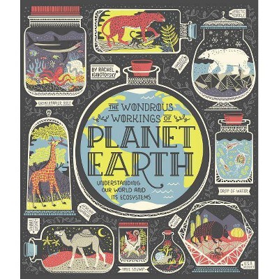 The Wondrous Workings of Planet Earth - by  Rachel Ignotofsky (Hardcover)