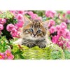 500 Piece Jigsaw Puzzle, Kitten in Flower Garden, Cat puzzle, Kittie puzzle, Cute cat, Adult Puzzle, Castorland B-52974 - 2 of 4