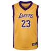 NBA Los Angeles Lakers Toddler James Jersey - 2 of 3