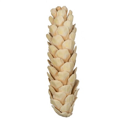 Vickerman 5.9" Natural Botanicals Strobus Medium