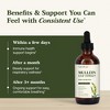 Sandhu's Mullein Drops for Lungs, Mullein Leaf Extract Supplement, Immune & Respiratory Health Support, Alcohol Free, Natural Herbal Tincture,4 Fl Oz - 3 of 4