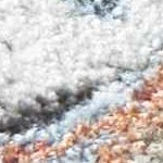 light gray, medium brown, medium gray, dark brown