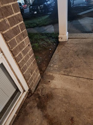 Guest review image 1 of 2, zoom in