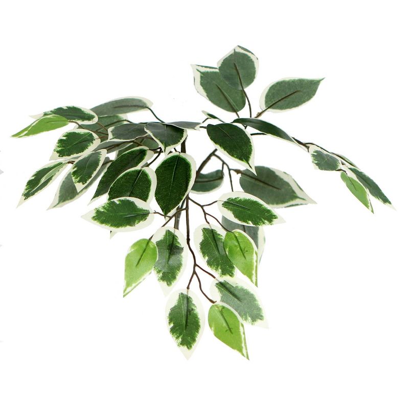 Artificial Variegated Ficus Tree (6"), 2 of 7