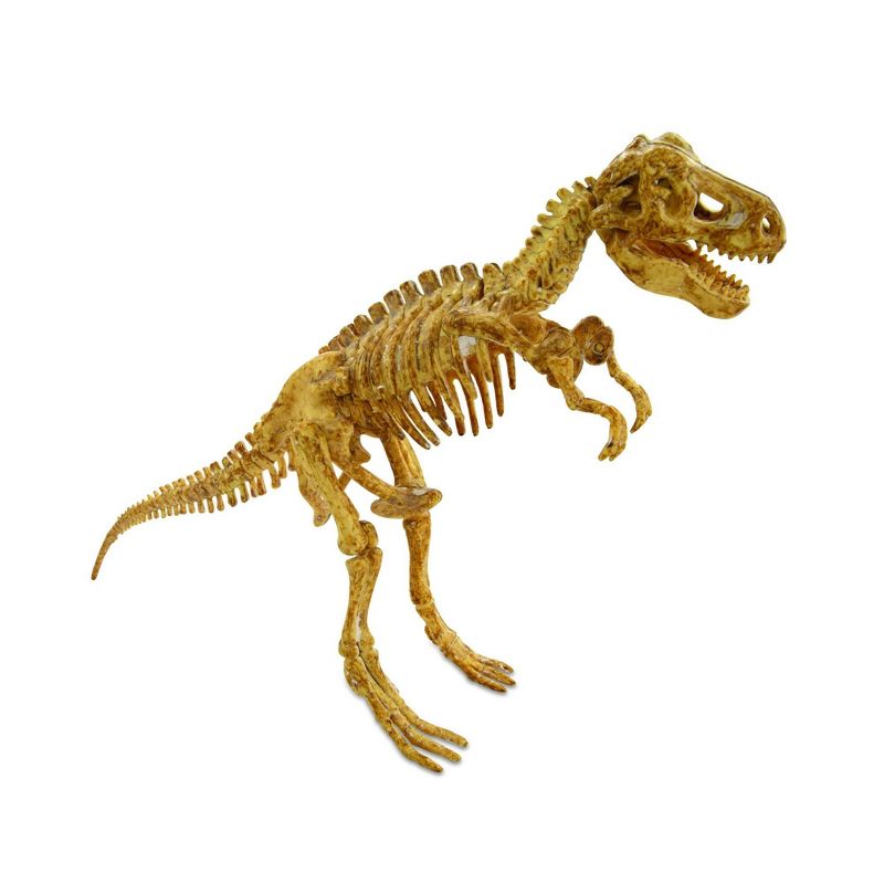 MindWare Dig It Up! Tyrannosaurus Rex 3D Skeleton, 5 of 8