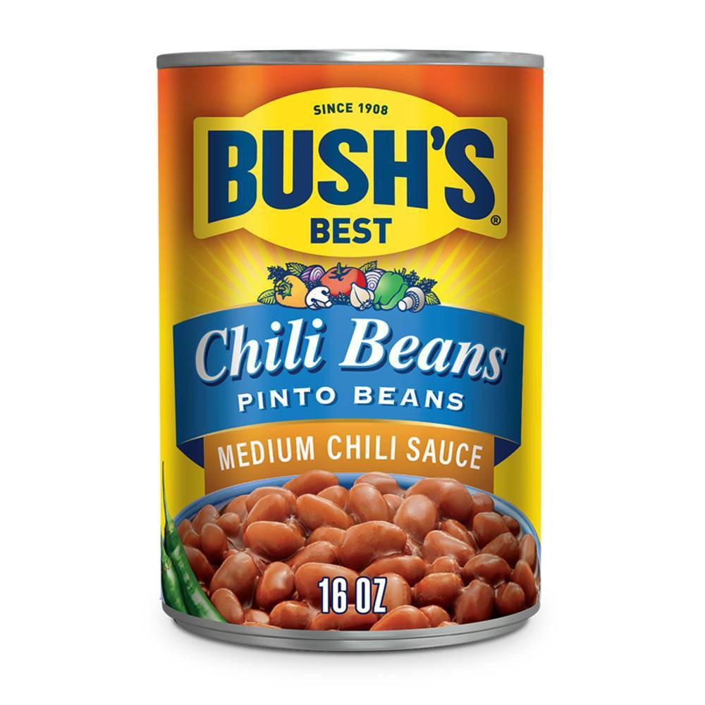 UPC 039400016809 product image for Bush's Pinto Beans in Medium Chili Sauce - 16oz | upcitemdb.com