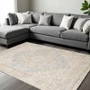 Tan And Gray Medallion Area Rug - 2 of 4