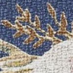 navy multicolor