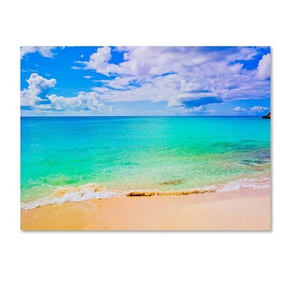 24" x 32" Maho Beach by Preston - Trademark Fine Art