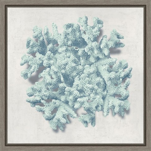 Amanti Art Coral Mint II by Caroline Kelly Canvas Wall Art Print Framed 16 x 16-in. - image 1 of 4