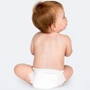 Andy Pandy Bamboo Training Pants - Size 3T - 22ct - 4 of 4