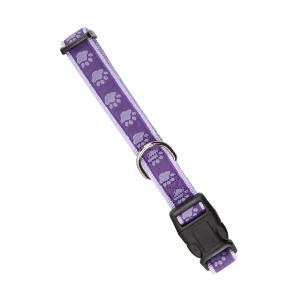 Casual Canine TwoTone Pawprint Dog Collar, 10-16-Inch, Purple - 1 of 3