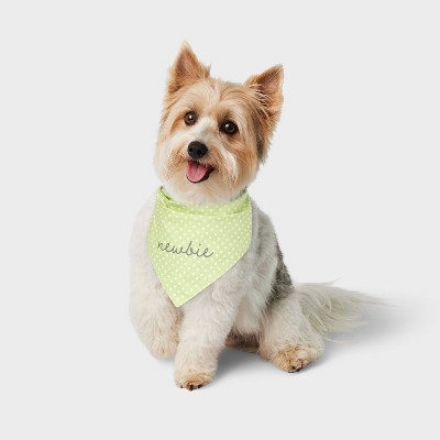 Cat and Dog Bandana - Boots &#38; Barkley&#8482; - Green - One Size Fits Most_2