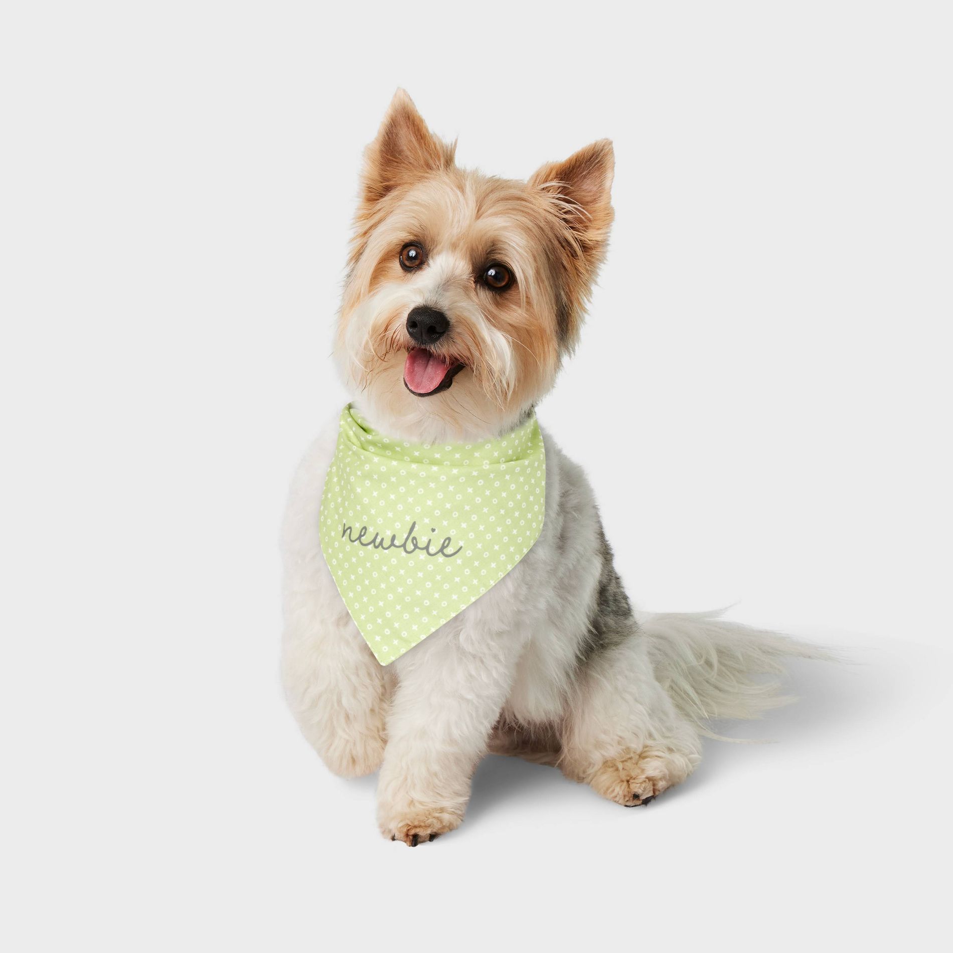 Newbie Puppy Dog Bandana - Boots & Barkley™ - Green - One Size Fits Most