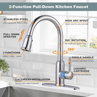 Chrome Single-Handle Pull-Down Sprayer Kitchen Faucet