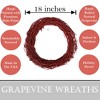 Kraft Lane: 18" Painted Grapevine Wreath - Red - DIY Craft Projects, Handcrafted - 2 of 4