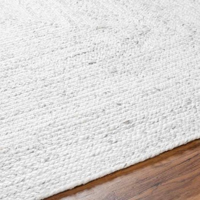 Ivory Handmade Braided Rectangular Stain-resistant Area Rug 2' x 3'