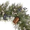Christmas Mixed Mica Foliage with Blueberries and Harmony Bells 30in Wreath Pre-Lit with 35 LED Fairy Lights B/O - 3 of 4