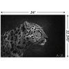 Trends International 5FishCreative - Leopard Portrait Unframed Wall Poster Prints - 3 of 4
