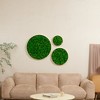 ChicFurnit Wall Art Round Framed Moss Wall Decor Nature Fusion Preserved Moss for Home Living Room and Office, Green, 24"*24"*2" - 4 of 4