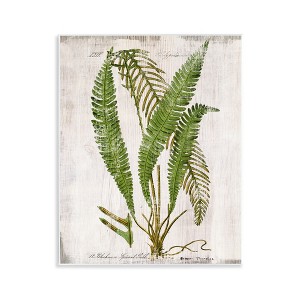 Stupell Industries Thin Fern Leaves Study, 14" x 11" - 1 of 4