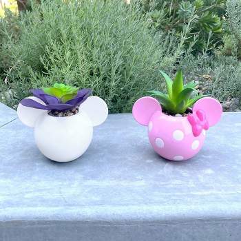 Disney 2pc Indoor/Outdoor Ceramic Mickey and Minnie Mouse Icon Succulent Set Pink/White