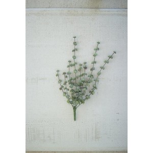 Artificial Succulent Bush – 3.5" Tall Hanging Green Plant by Kalalou - 1 of 3