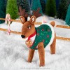 The Elf on the Shelf Elf Pets Care: Cheer Check-Up Set, Elf Pets Sweater, Elf Care Hero, Accessory Kit for Ages 3+ - 2 of 4