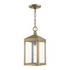 Livex Lighting Nyack 1 - Light Pendant in  Antique Brass - 2 of 4