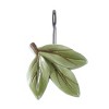 Avanti Ombre Leaves Shower Hooks - 3 of 3