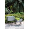 SKRAN Collection of Decorative Planters, Planter Set - Versatile Cement and Metal Planters for Indoor and Outdoor Use - 2 of 4