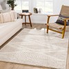 Hauteloom Trunding Plush Area Rug in Gray - 4 of 4