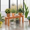 Tangkula Wooden Plant Stand Set of 2 w/ Teak Oil Finish Slatted Top Rustic Plant Rack - 4 of 4