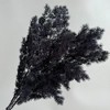 Alilang Decorative Dried Fine Leaf Stems for Home Decoration and Floral Arrangements, 17.7 Inches - 2 of 3