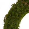 Nearly Natural 20” Moss Artificial Wreath - 3 of 4